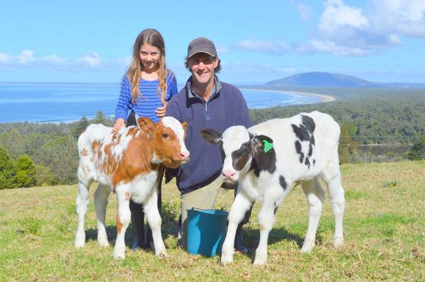 SeabreezePaul's tweet image. Loving our Golden PP Polled calves@polledbreeder @polepositiongen #polledprogress