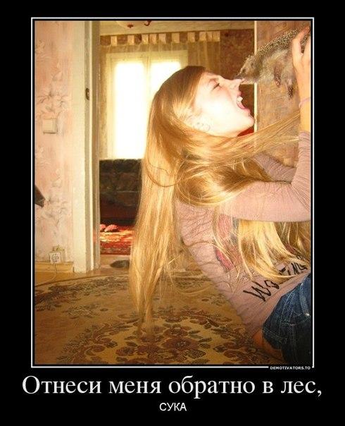 Nikolaj25B's tweet photo. http://t.co/oS8wEeFAri