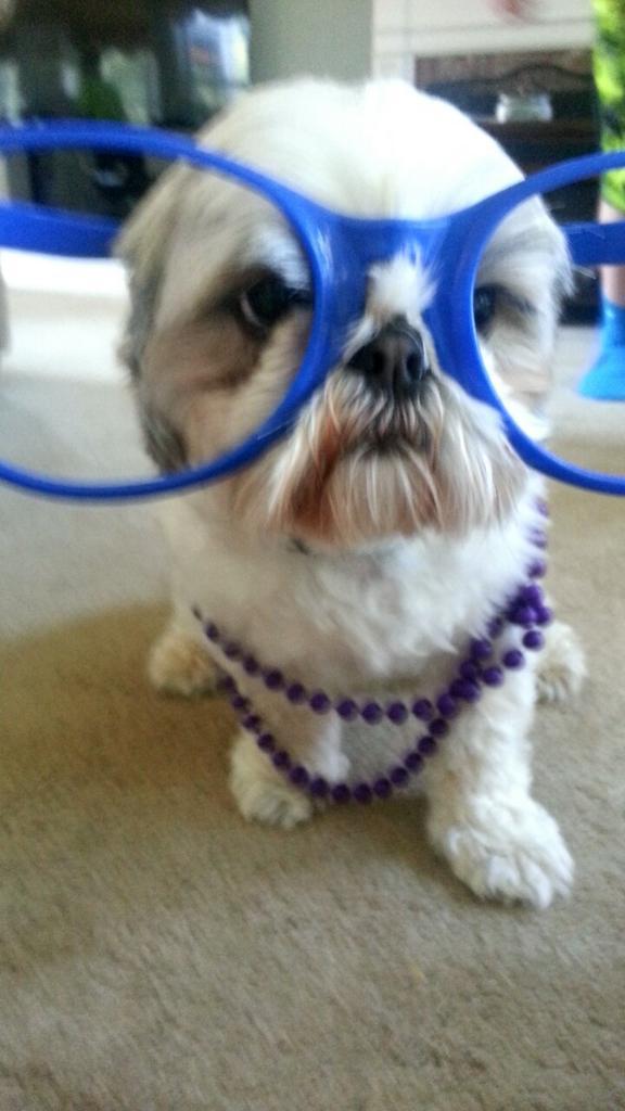 ejoncomp's tweet image. No words