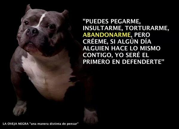 Tapixulo's tweet photo. http://t.co/lYqd6xvnpE
