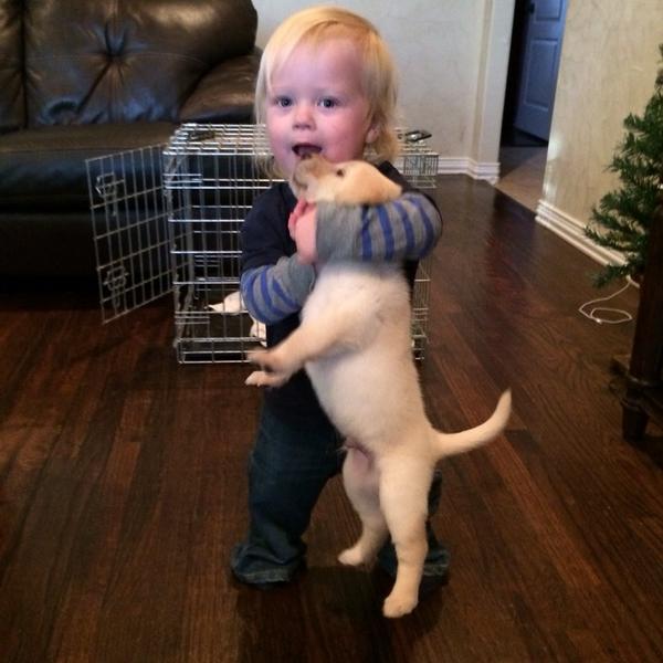TheSamPittman's tweet photo. Shout out to the day I choked Levi out. #nationaldogday http://t.co/Lb16aY4gnb