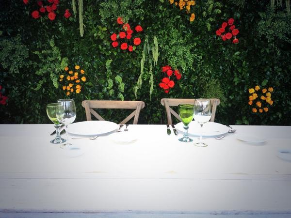 ConceptEvents2's tweet photo. Boda cedros http://t.co/vW5NkqDofD