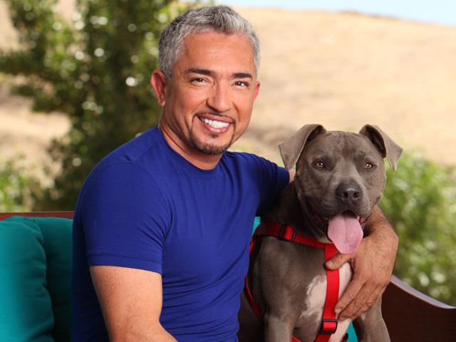 A big Happy Birthday to Cesar Millan -one of the most fantastic self trained, dog training experts around! 