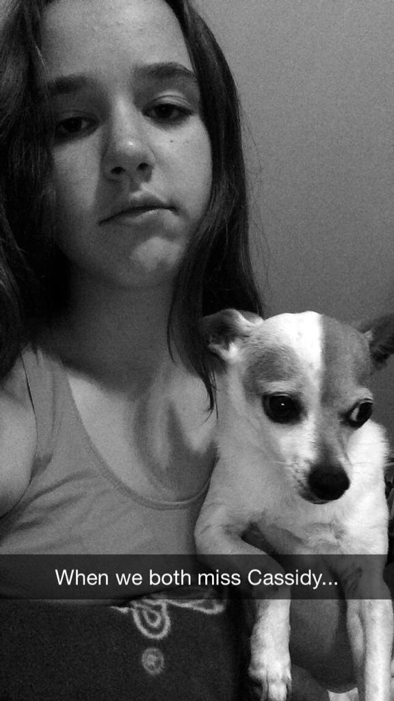 mckmarie23's tweet photo. When your sister is in college and it's national dog day, this is what happens #BadCombinations http://t.co/nrWKd0Uo25