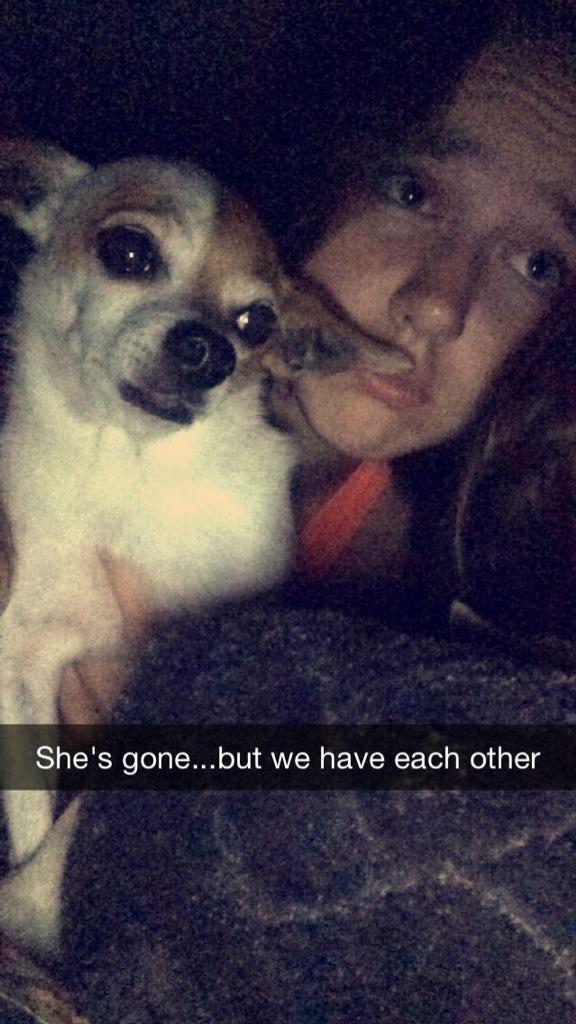 mckmarie23's tweet photo. When your sister is in college and it's national dog day, this is what happens #BadCombinations http://t.co/nrWKd0Uo25