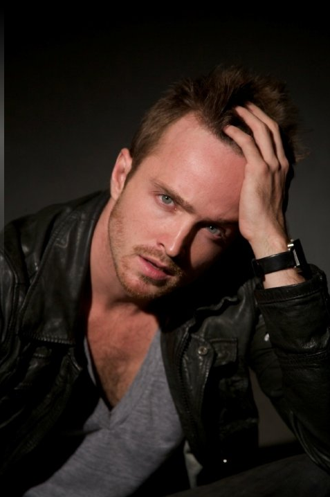 Happy Birthday  Aaron Paul   Need for speed    35                              