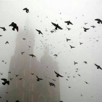 i_Hm6's tweet photo. ويبقى الامل بالله بداخلي يوقظ كل شيئا جمييل http://t.co/Ofe1ieHy4j"