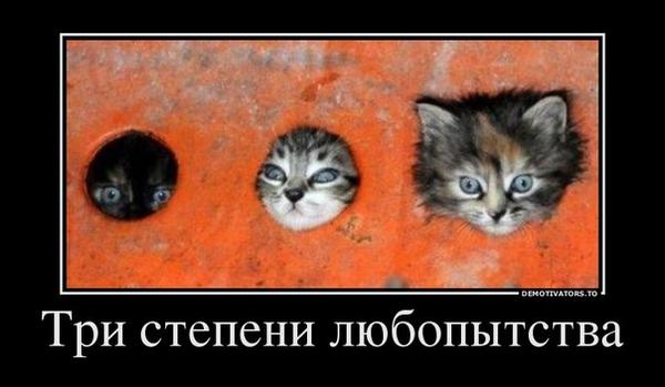 FadejK5eYD's tweet photo. http://t.co/3ZBThZKbnE