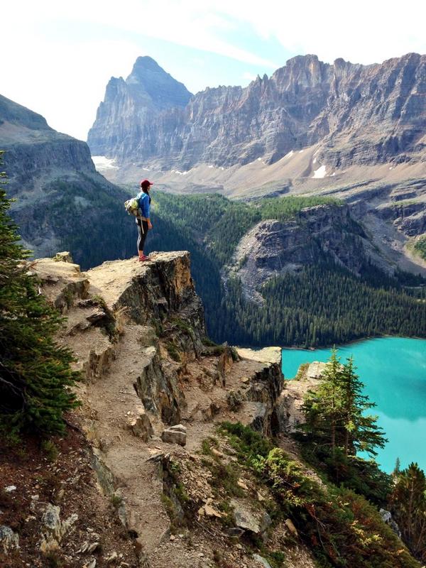 Corrie DiManno tweet media