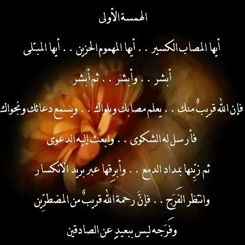 MdMo342 tweet picture