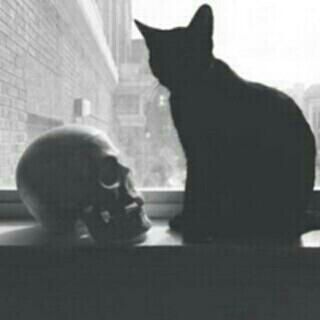 illl90 tweet picture