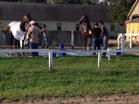 MarisaJacquesTV's tweet photo. Bath time at #Saratoga. #spaspot http://t.co/Phuhsuhv7M