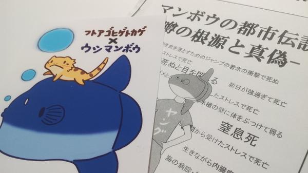ツク之助 フトアゴ絵本発売中 マンボウの都市伝説27項目全て解説したマンボウなんでも博物館さんの冊子は博物ふぇすで手に入れました フトアゴとプチコラボもして頂いて光栄です Http T Co Ob0nyzjtxj ライフル銃が貫通しない は熱かった Http T Co