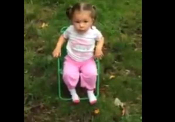 The Poke tweet media