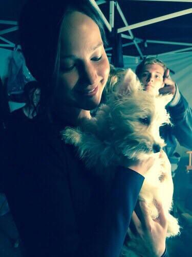 PrincessShrader's tweet image. Rare photo of a puppy holding a puppy
