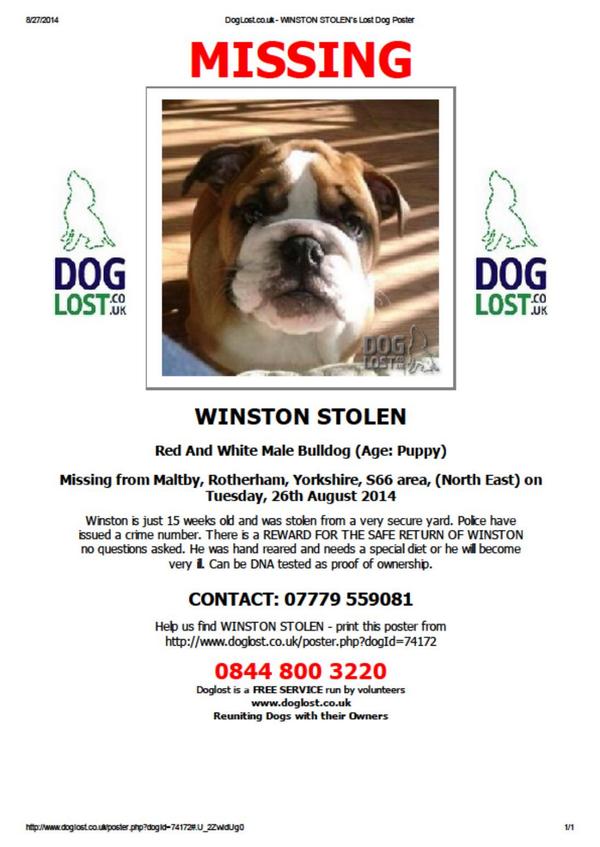 Juney2014's tweet image. PLZ URG RT2 #HelpFindWinston #PUP 15wks old #STOLEN needs special food goo.gl/6CA8G9 #Maltby #Yorkshire S66