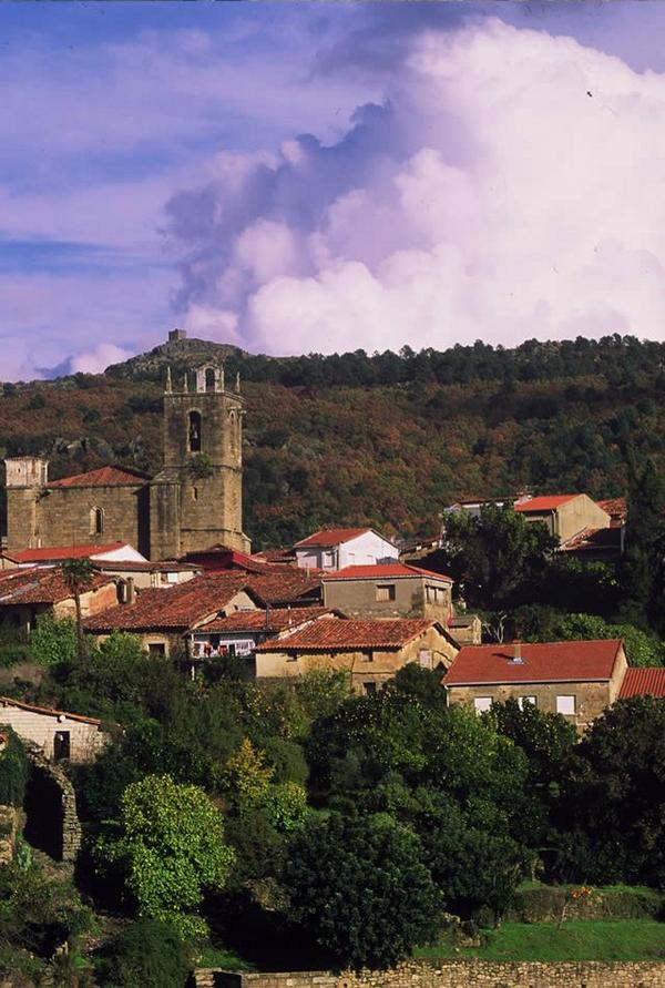 Nacho Trevejo S Gata tweet media