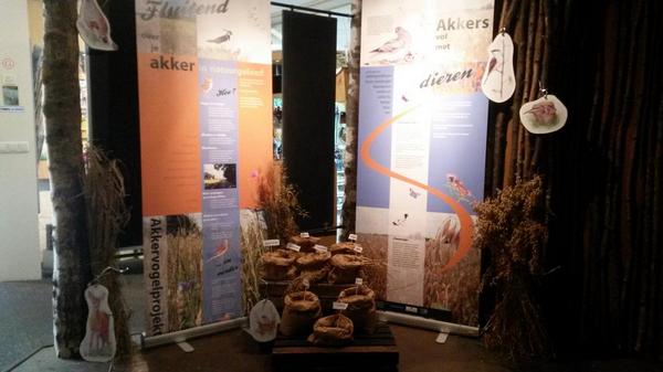 annekeepping's tweet photo. Nu te bewonderen nieuwe presentatie over het akkervogelproject bij de Noordmee in Sellingen. http://t.co/Zz35kQOsbZ