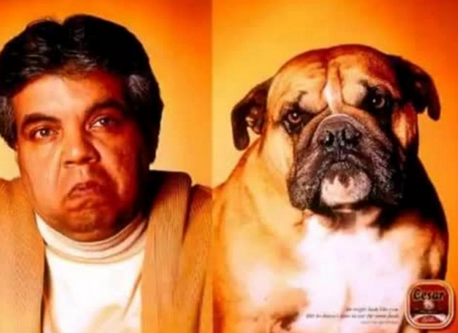 LaStampa's tweet image. FOTO - Cani simili ai proprietari? Il segreto è negli occhi ow.ly/ALEYf via @la_zampa