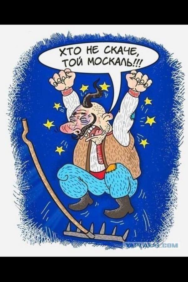 labuda8's tweet image. 