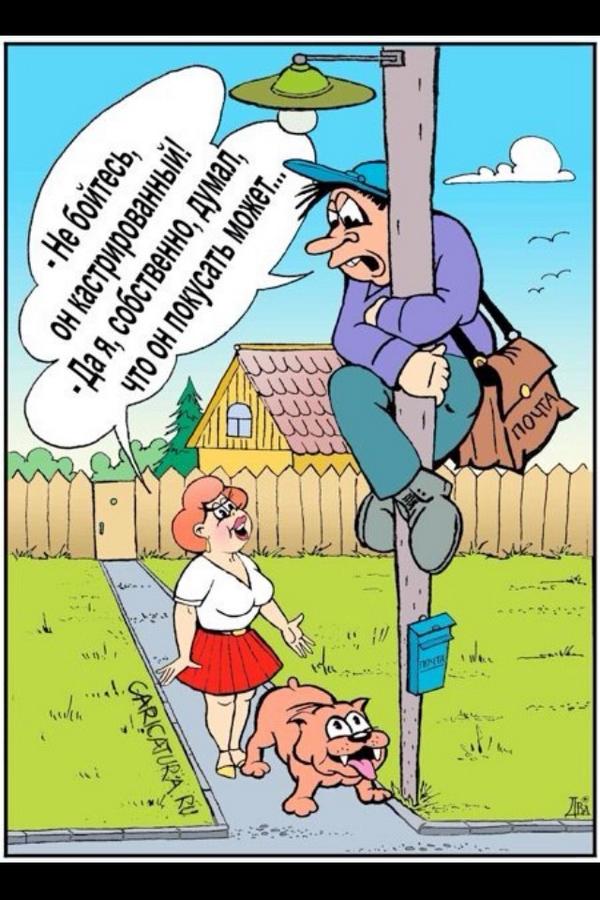 labuda8's tweet image. 