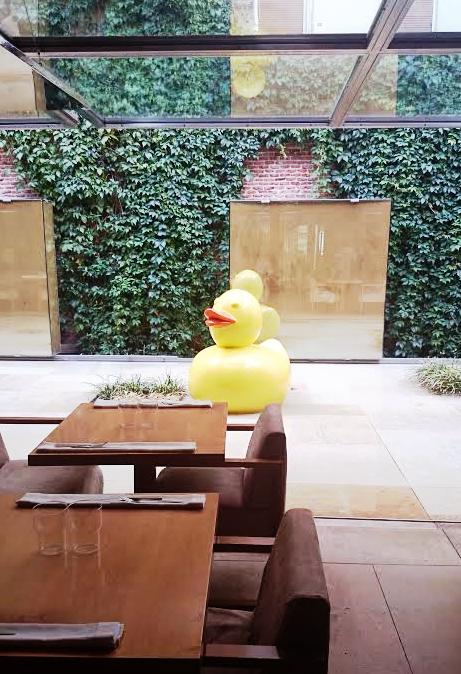 Disfruta en nuestro espacio de un auténtico Oasis urbano en el centro de #Madrid #ExperienciaPandelujo