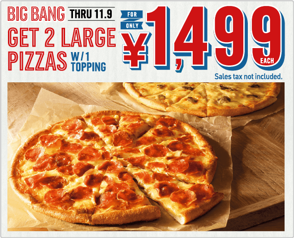Domino's Pizza 