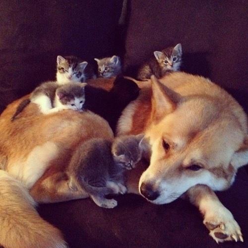 Elverojaguar's tweet photo. http://t.co/4CKkXbA5NI