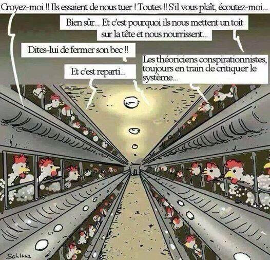 Permalien de l'image intégrée