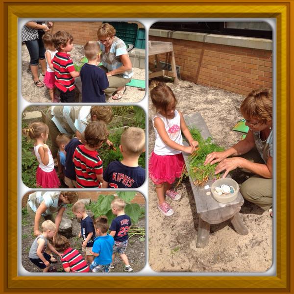 DISCOVERY!!!!! #OnceACard