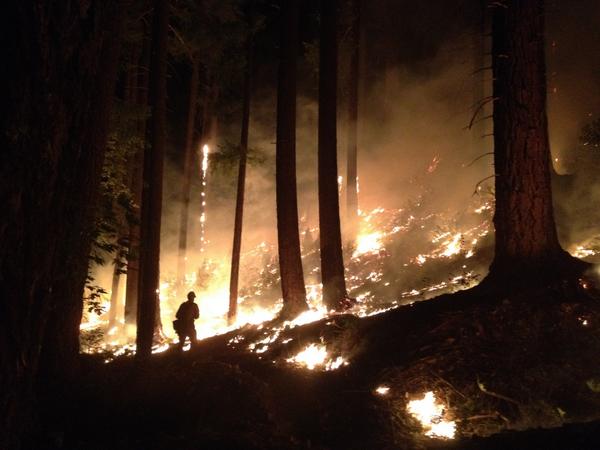 JulyComplexinfo's tweet image. Mule bridge road burn operation with the Mendocino hotshots taken last week. #JulyComplex