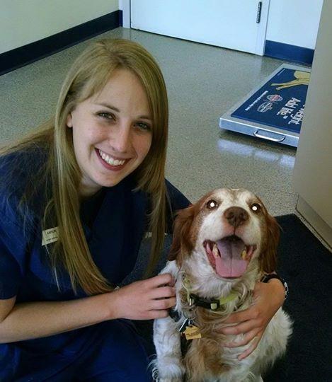 Chester Animal tweet media