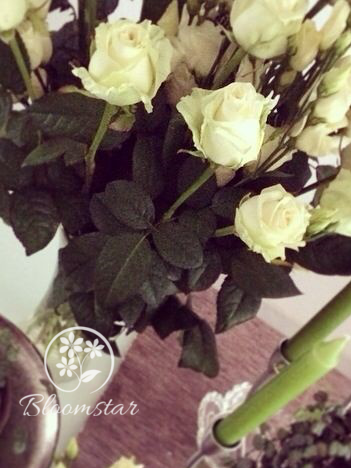 Bloomstar_ch tweet picture