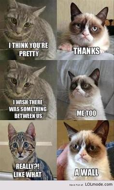 funnylol15's tweet image. this is this my and my sis