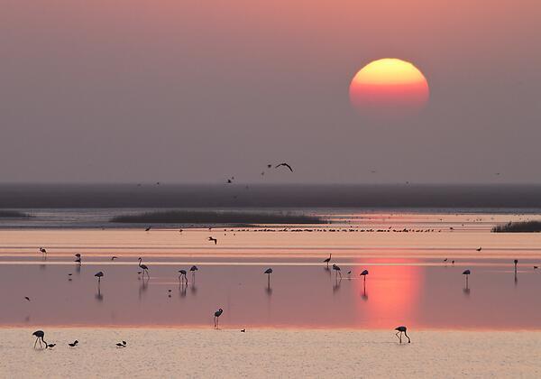 _Paisajes_'s tweet photo. Parque Nacional de Doñana! (Huelva) http://t.co/txrISskSjg
