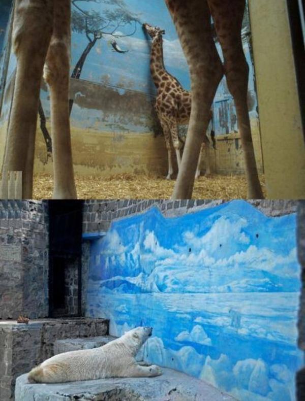 OMGFacts's tweet image. It's just too sad to look at.