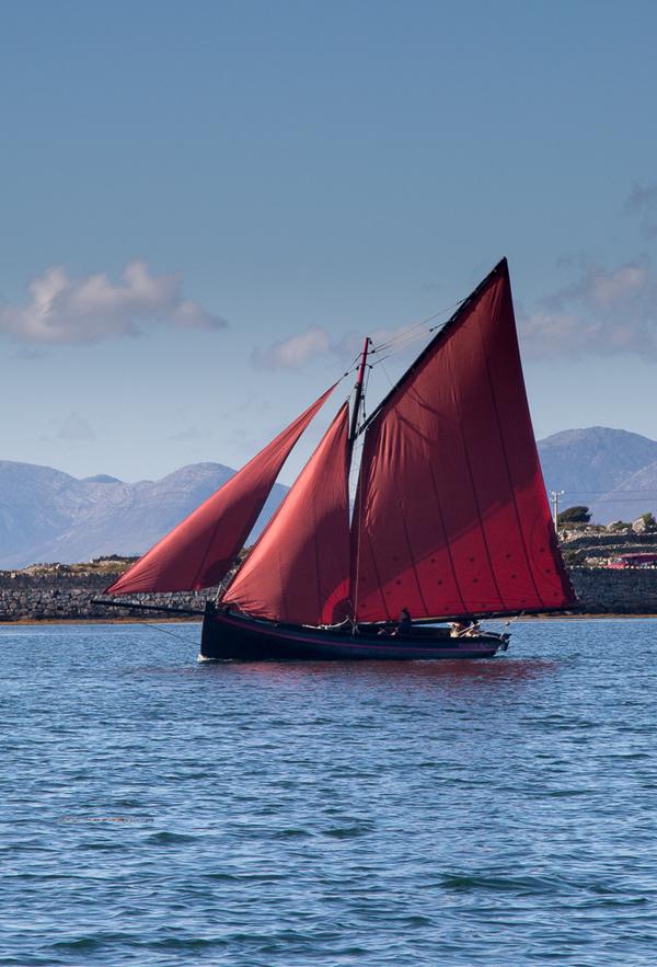 An gleoiteog "Maggie" #Gaeilge ag rás ag Féile Bhéal an Daingin Dé Domhnaigh. Tuilleadh pix: seanomainnin.com/p222015904