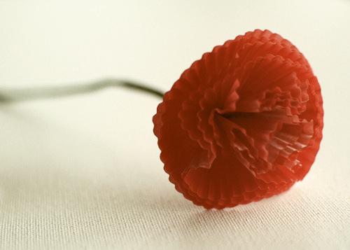 creativecraft19's tweet photo. Diy Paper Flowers from Cupcake Liners http://t.co/WrYKR9t7Ga

@craft @craftyleftdee @beCraftsy @craftychica38 http://t.co/jngiMLJD2G