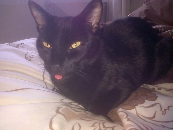Casually sitting on my grandparents bed with my tongue poking out