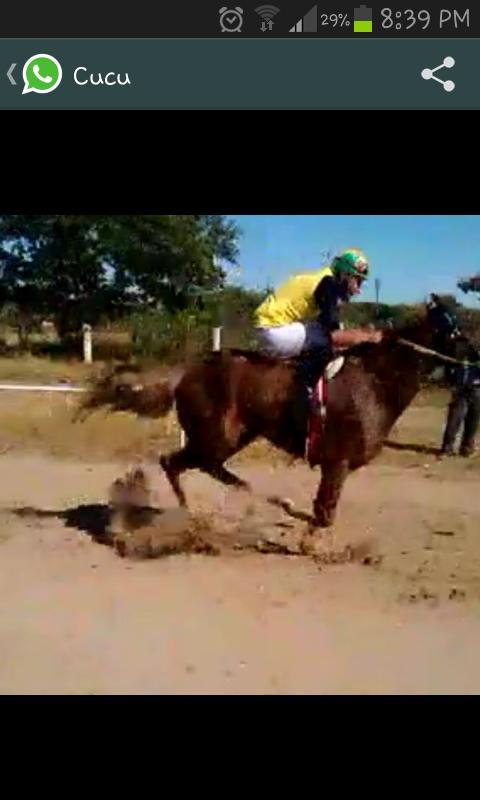 NJonapa's tweet photo. Unas karreras http://t.co/RaH9wjL9zX