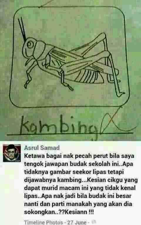 BijakSaneSinii's tweet photo. Sape paling ultimate bodoh..?.kau rasa? http://t.co/XyJiDF2IgZ