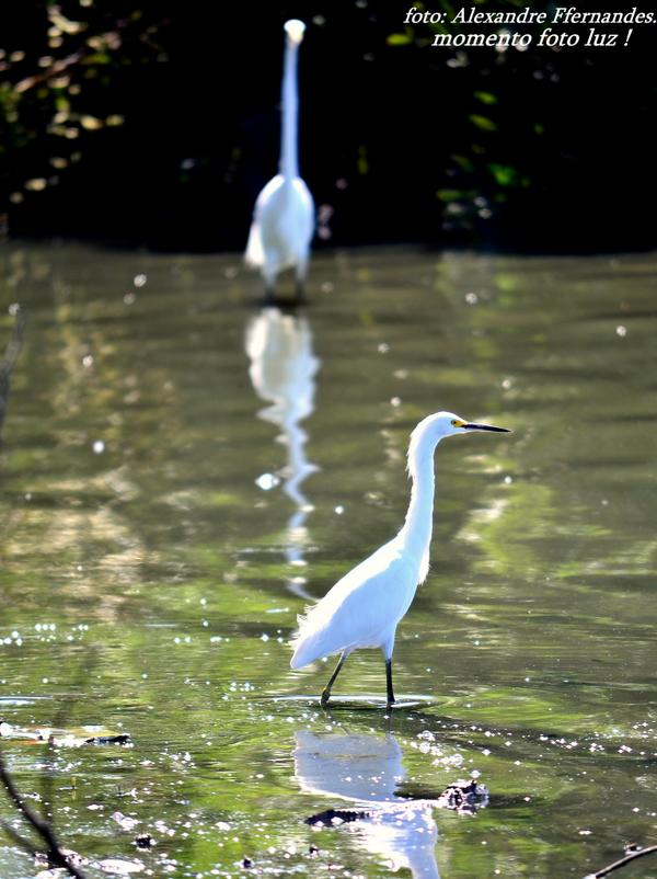 PARQUE MARAPENDI BARRA DA TIJUCA , RIO