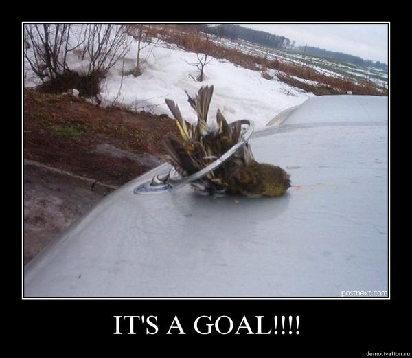 какашка живет