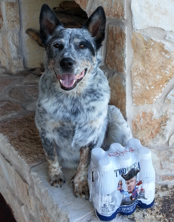 rushrevere's tweet photo. Hope you had a good #NationalDogDay yesterday @MACHTink - here is Rush the Dog from George http://t.co/YYkQVthVoj