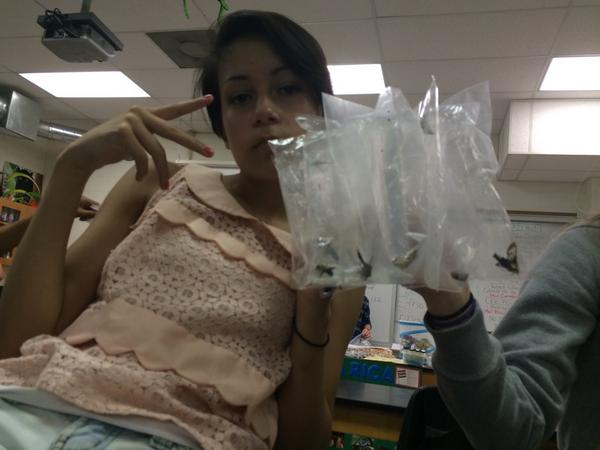 stephanier_lhs's tweet photo. Bug game too strong http://t.co/wQ1HUNThto