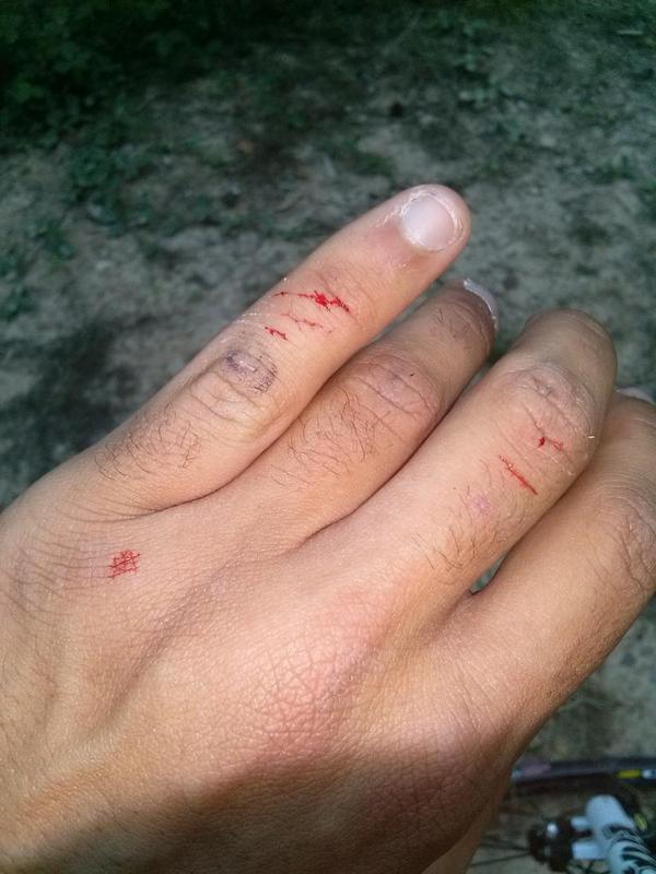 bachan_46's tweet photo. Así hemos acabado el entrenamiento de hoy tanta senda cerrada http://t.co/XXGaiqjroG