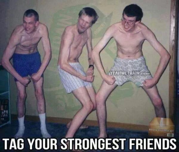 MerkelX's tweet image. Fragile s'abstenir #teambiceps