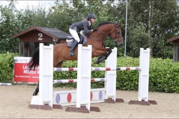 faye_powell's tweet photo. Can't wait for @Sportjumping on Sunday @Quainton_Stud who's going to bet on jack and I?! #outsidechance #maybe 😜 http://t.co/7Mw3BCWm4I