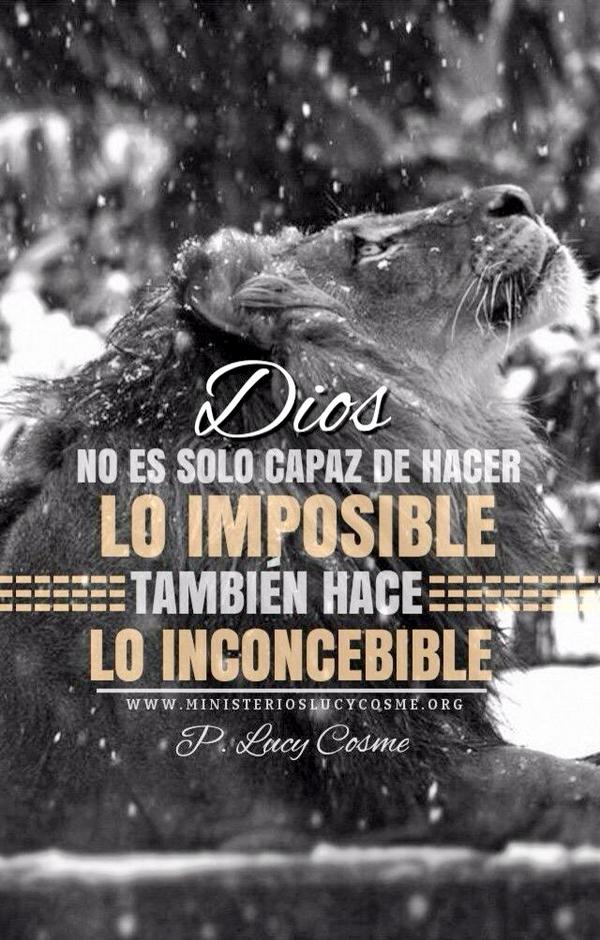 LucyCosme's tweet photo. 📌Dios no sólo es capaz de hacer lo posible, también hace lo inconcebible! http://t.co/bwtH7CLWqV