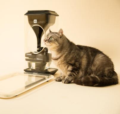 WebDsForum's tweet image. 猫の健康をクラウドで管理？！顔認識カメラ・給餌付「Bistro」【japanese.engadget.com/2014/07/16/bis…】 #ディレクター #エンジニア #クリエイター